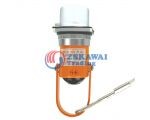 日本daiwadengyo大和電業(yè)SPT-11-H安全鎖安全插銷(xiāo)安全門(mén)防護(hù)插扣